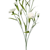 Charles Ted Dianthus mini spray | Set of Three