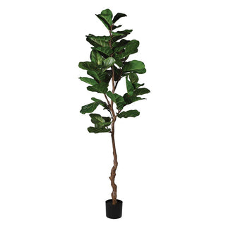 Artificial fiddle leaf fig tree in a pot on a white background