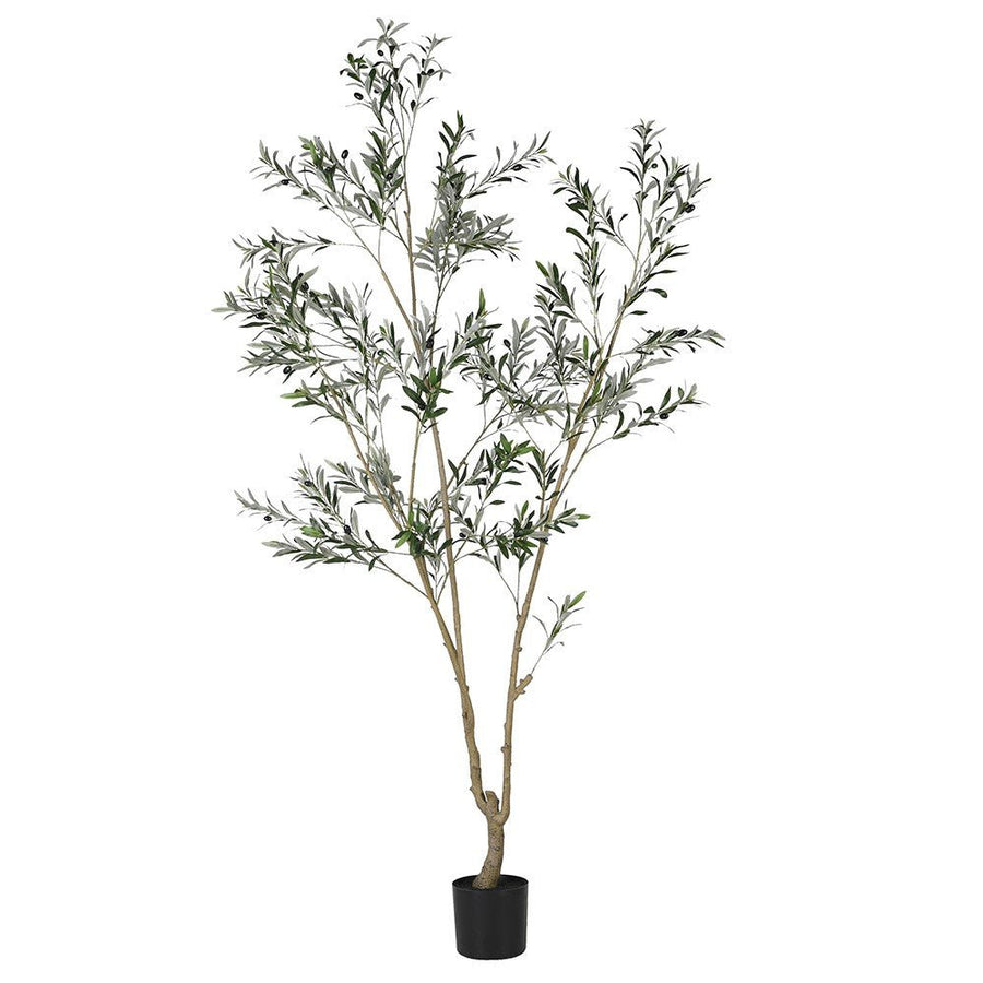 Faux Tuscan Olive Tree | Suitable for Outdoor Use - CharlesTed Home