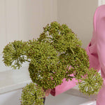 A stunning Faux Angelica seed head stem in green - perfect to use as a filler in bouquets - or use in a group on its own to create a beautiful simple display
