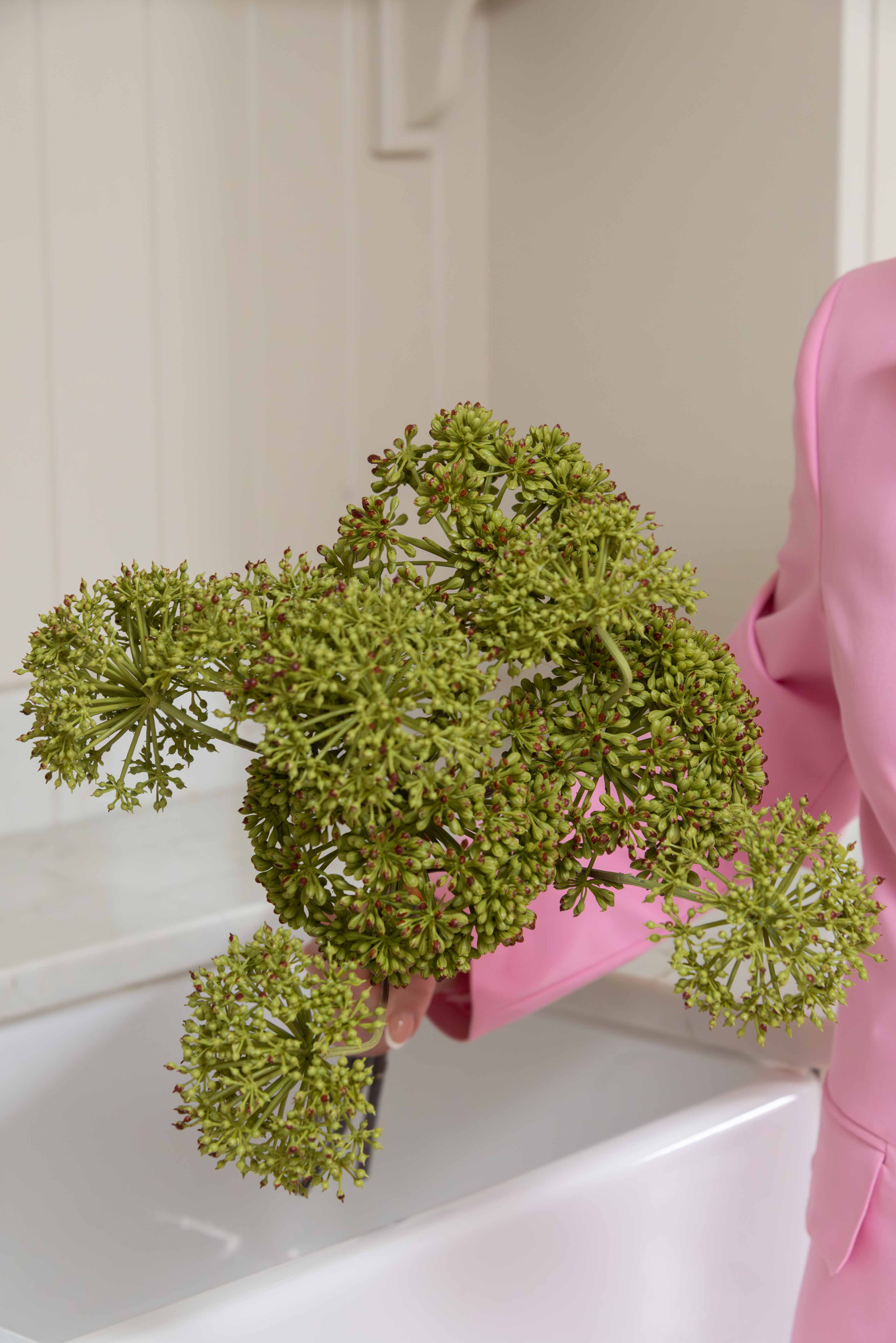 A stunning Faux Angelica seed head stem in green - perfect to use as a filler in bouquets - or use in a group on its own to create a beautiful simple display