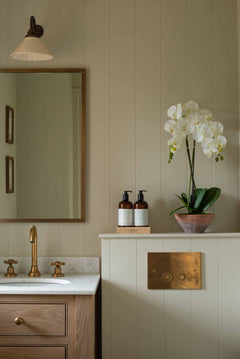Make a grand statement in your home with this elegant White Phalaenopsis Orchid, potted in a timeless terracotta vessel. Its delicate yet striking blooms will add a touch of sophistication to any space, making it a must-have for any luxury botanical collection. With its enduring beauty and effortless grace, this orchid is the perfect symbol of refinement and refinement. Indulge in the beauty and grace of nature with this premium orchid.