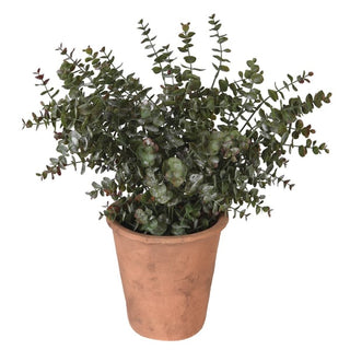 Trenwick faux eucalyptus plant in an aged terracotta pot, showing the dense silver-green foliage and weathered clay pot finish against a white background