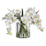 Elevate your space with this exquisite faux white orchid arrangement, showcased in a sleek glass cylinder vase.


Dimensions:

H 36cm
Pot:&nbsp;H:18cm Dia:18cm