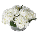 Faux Hydrangea Annabelle Arrangement in Glass Vase