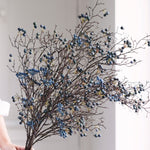 A beautiful stem of blueberries