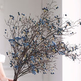 A beautiful stem of blueberries