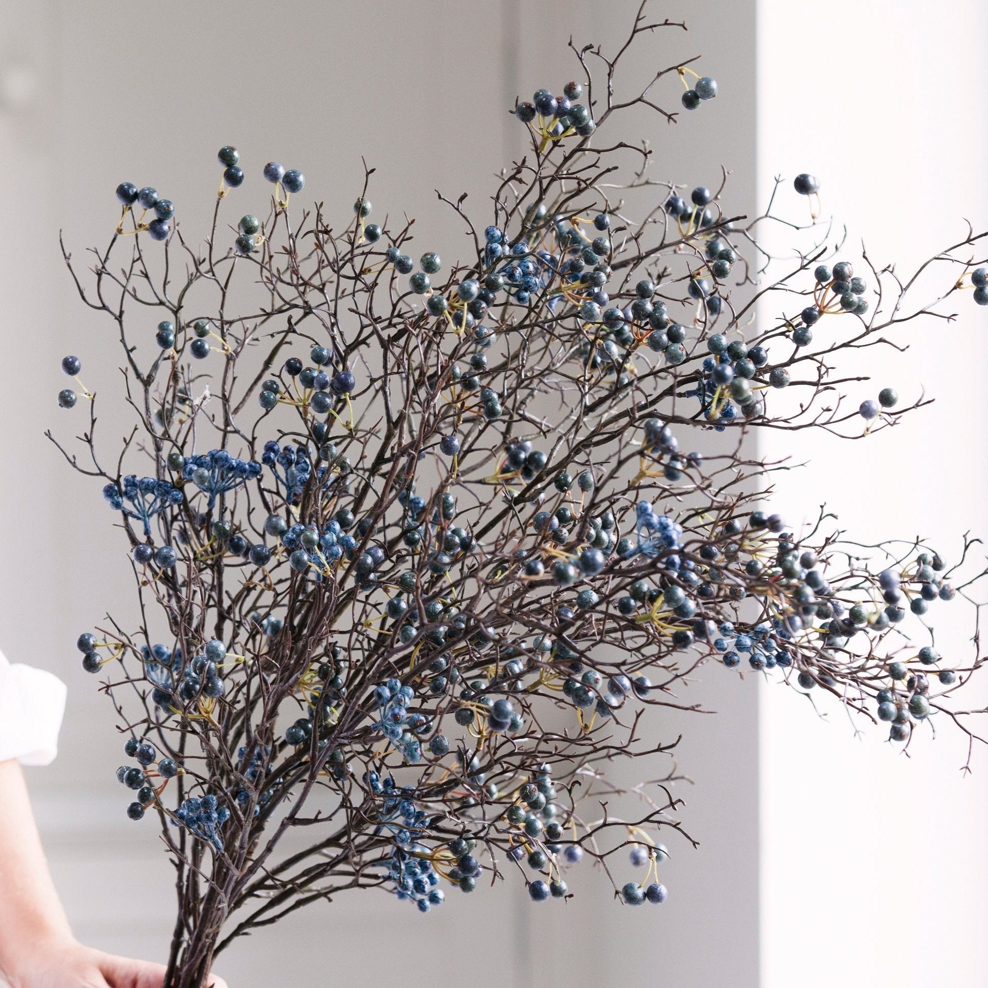 A beautiful stem of blueberries