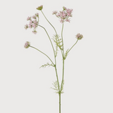 Meadow Spray | Blush