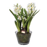 Charles Ted Faux Potted Hyacinth in Glass Planter