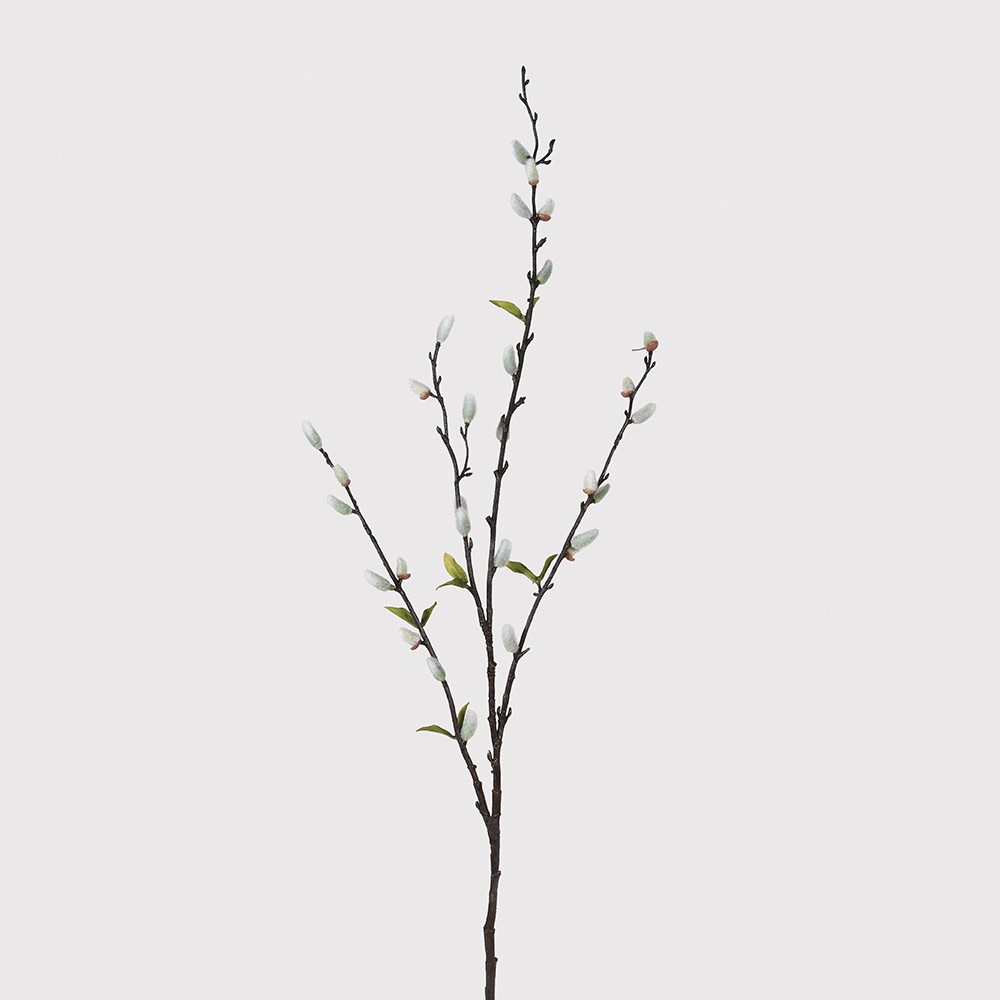  Pussy Willow stem with green leaves