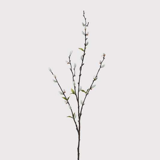 Pussy Willow Stem with Green Leaves | Set of Three