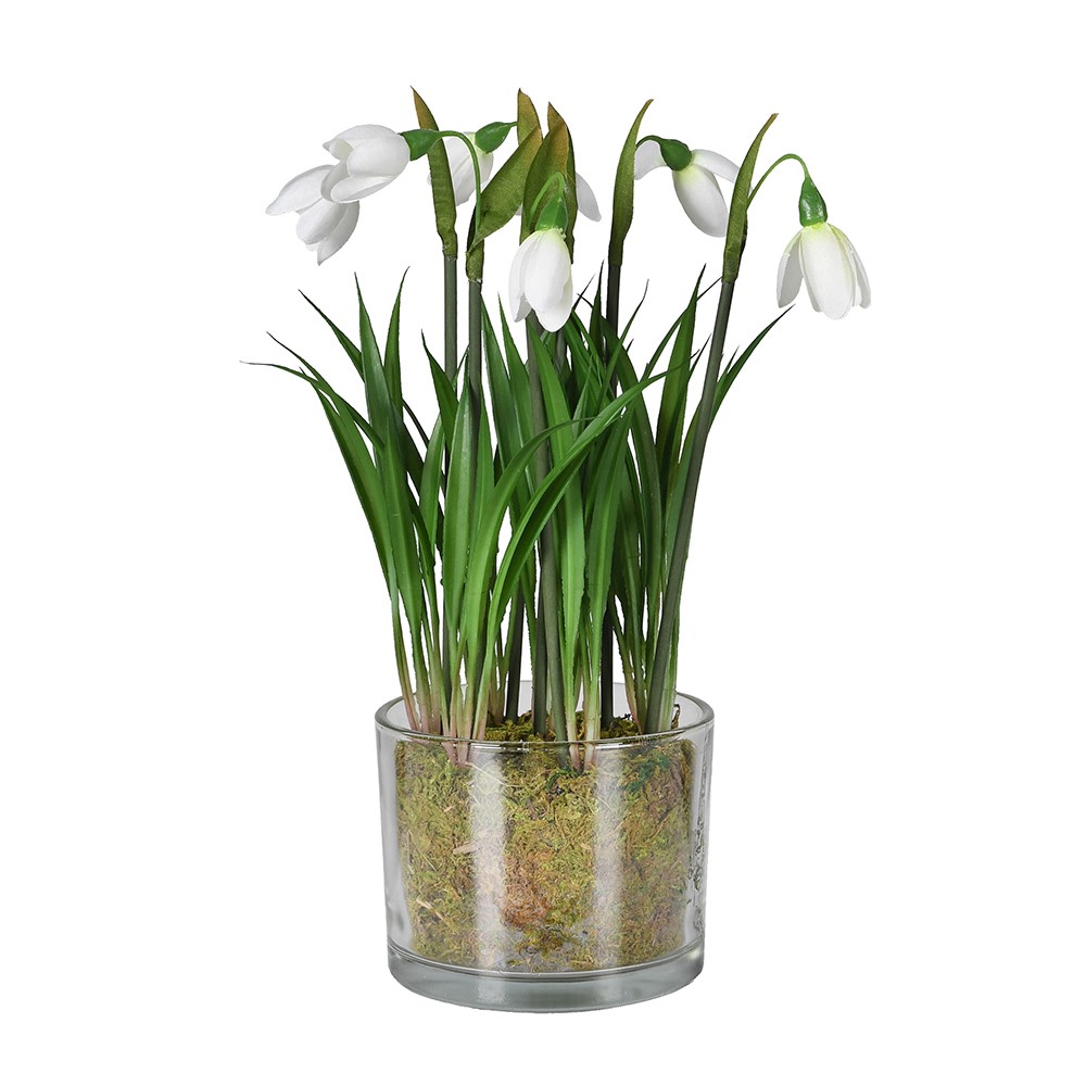 Glass vase with white flowers and green leaves on a white background