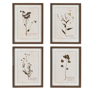 Vintage Botanical Framed Floral Prints Set of Four - CharlesTed Home