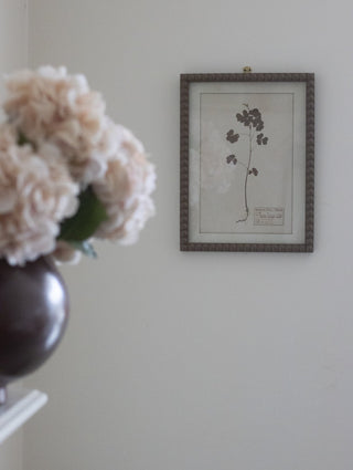 Vintage Botanical Framed Floral Prints Set of Four - CharlesTed Home