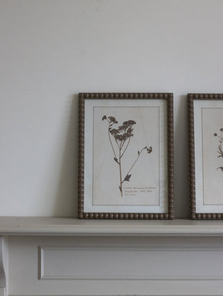 Vintage Botanical Framed Floral Prints Set of Four - CharlesTed Home