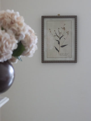 Vintage Botanical Framed Floral Prints Set of Four - CharlesTed Home