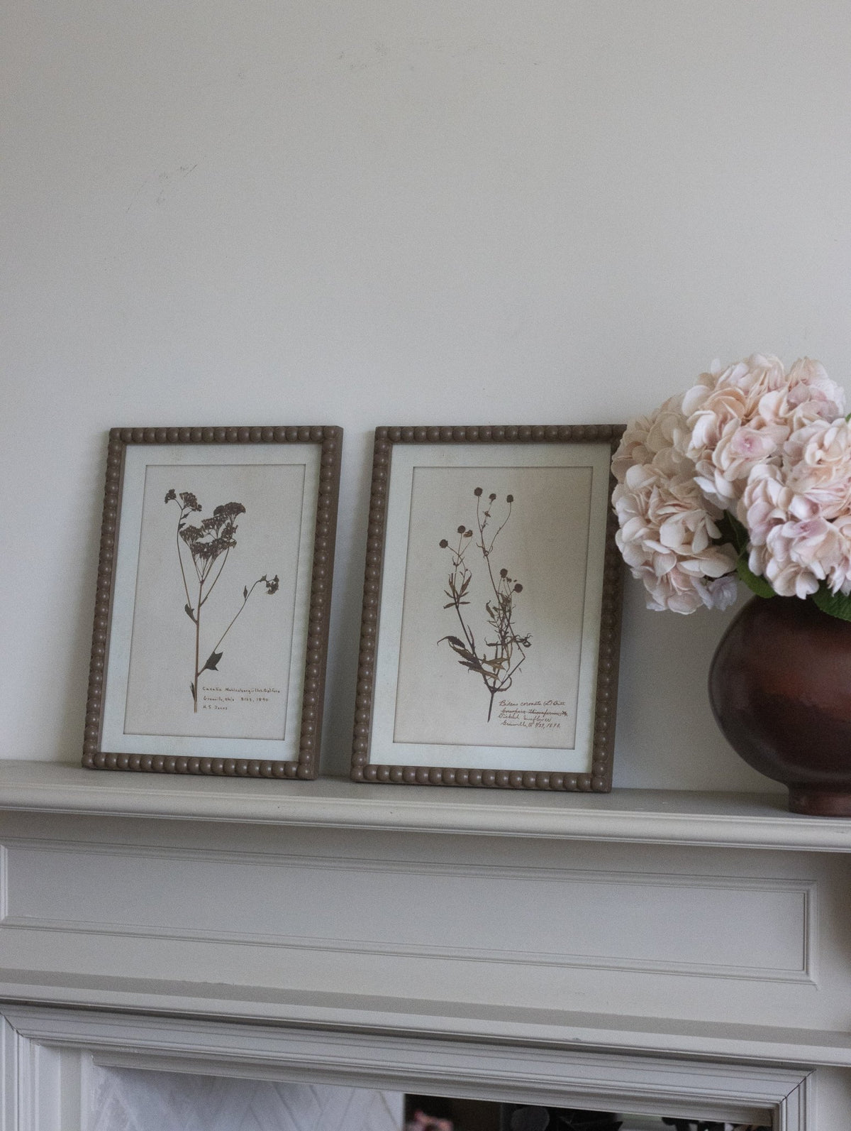 Vintage Botanical Framed Floral Prints Set of Four - CharlesTed Home