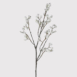 Charles Ted White Berry Stem