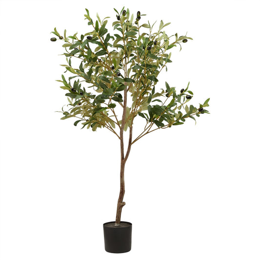 Amalfi Olive Tree | Small