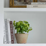 Artificial basil plant in a stone pot