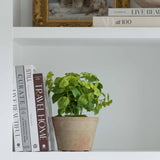 Artificial basil plant in a stone pot