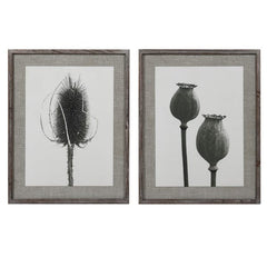 Set of two prints featuring dried poppy and teasel stems framed in a warm wooden frame.