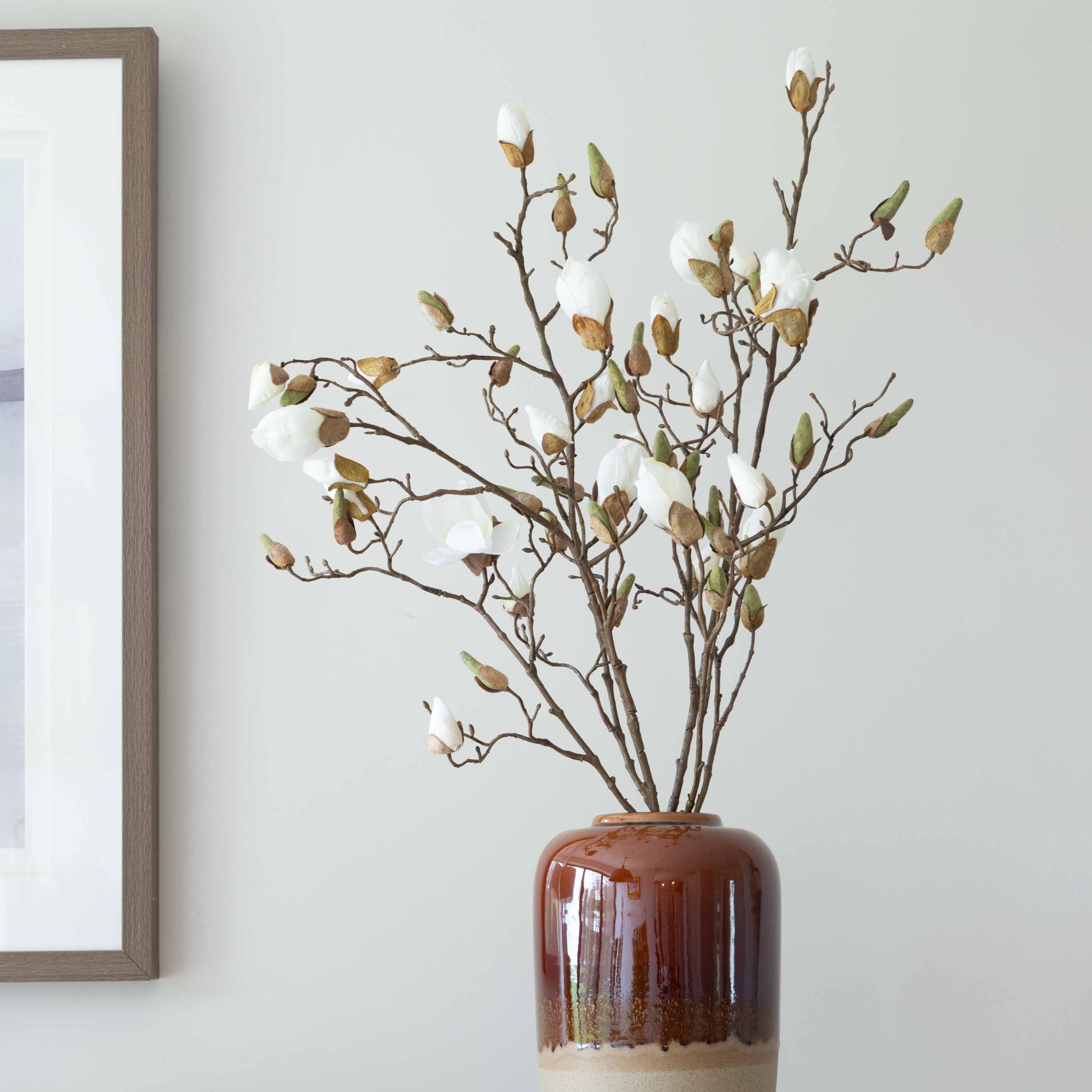 A beautiful stem of magnolia featuring bud detailing and blooming flowers.