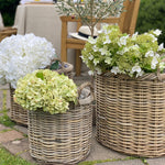 lined wicker basket