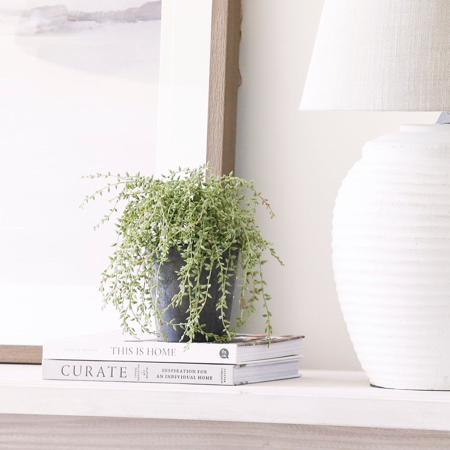 faux senecio plant in clay pot