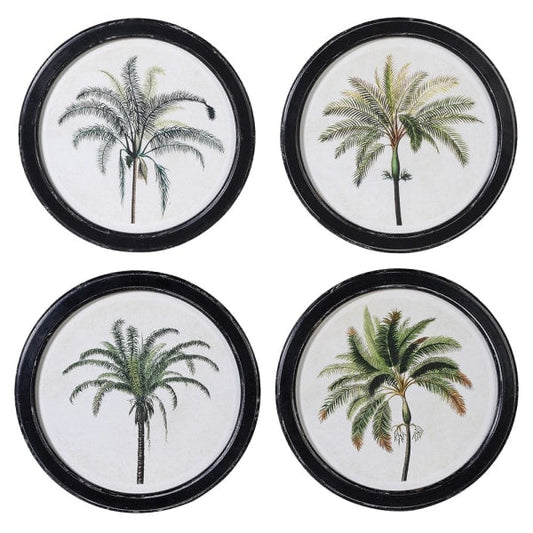 Palm Pictures  | Set of Four