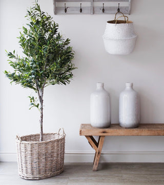 Charles Ted Artificial Olive Tree in Pot – Realistic Faux Indoor Plant Décor - CharlesTed Home