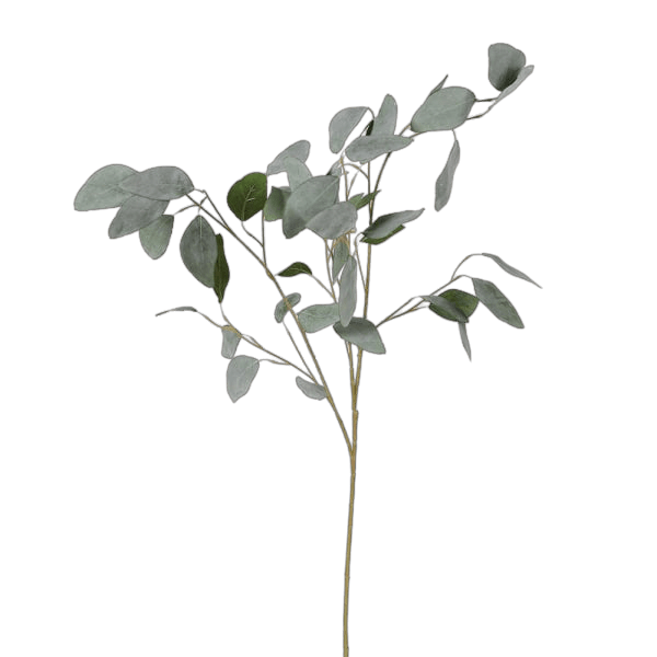 Charles Ted Faux Silver Dollar Eucalyptus Stem – Realistic Artificial Greenery for Home Décor - CharlesTed Home