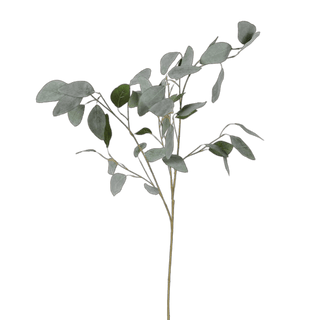 Charles Ted Faux Silver Dollar Eucalyptus Stem – Realistic Artificial Greenery for Home Décor - CharlesTed Home