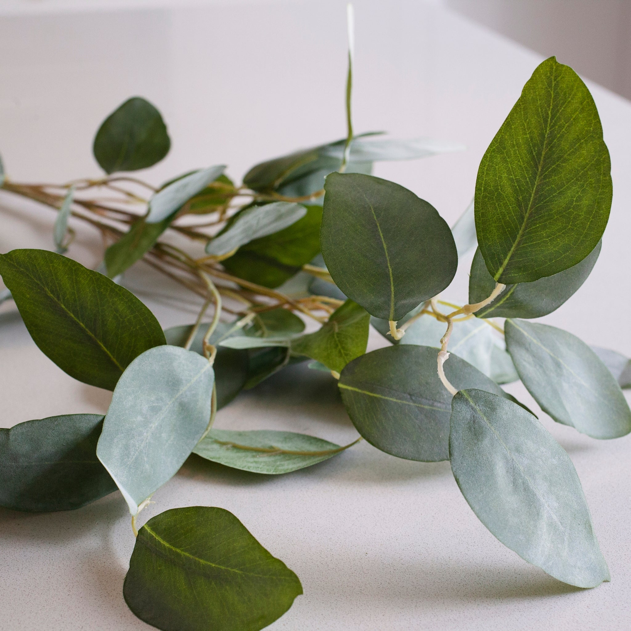 Charles Ted Faux Silver Dollar Eucalyptus Stem – Realistic Artificial Greenery for Home Décor - CharlesTed Home