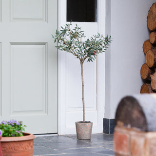 Charles Ted Minimalist Faux Olive Tree in Aged Terracotta Pot - CharlesTed Home