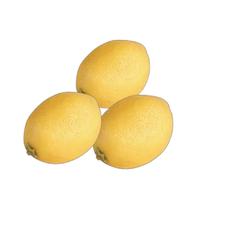 Charles Ted Sicilian Faux Lemon | Set of Three - CharlesTed Home