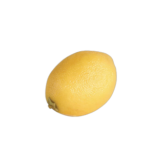 Charles Ted Sicilian Faux Lemon | Set of Three - CharlesTed Home