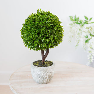 Charles Ted Topiary Tree in Pot - CharlesTed Home
