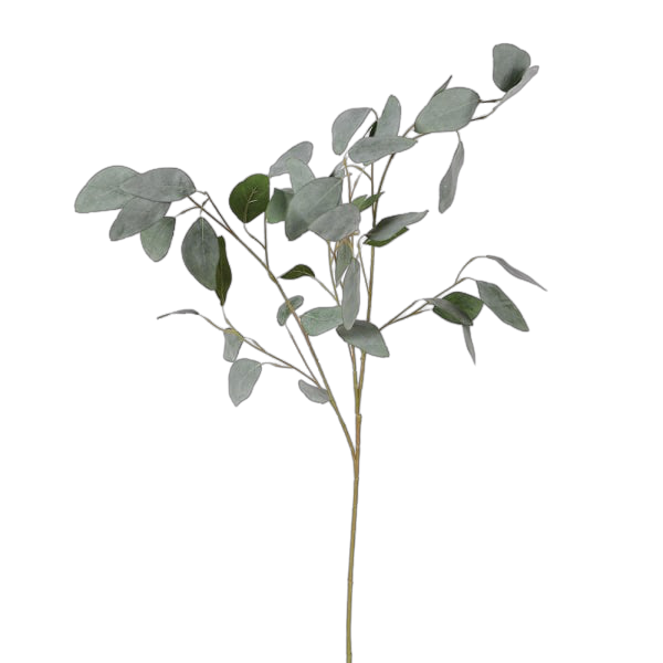 Faux silver dollar eucalyptus stem