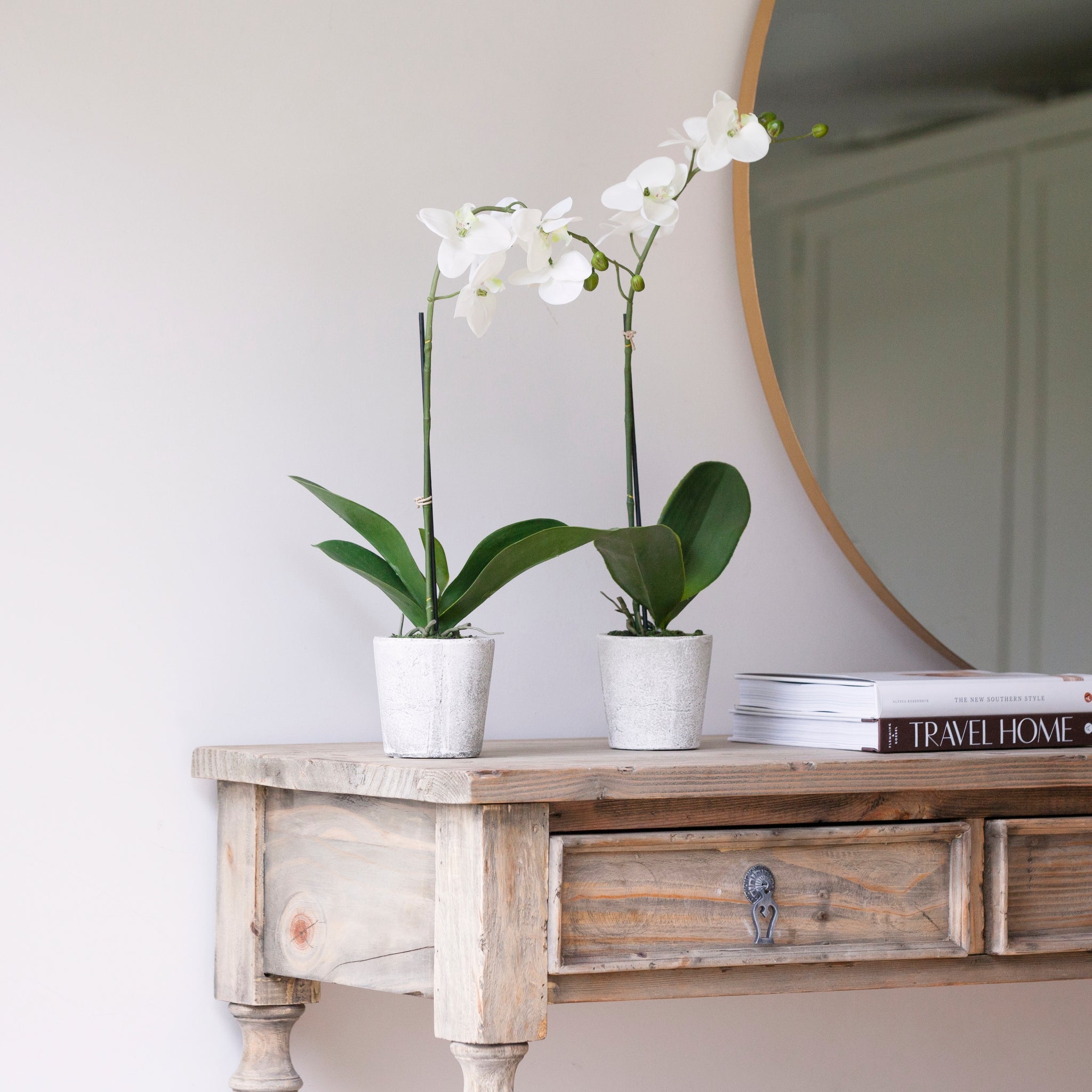 faux orchid 