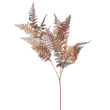 Charles Ted Rust Fern Spray