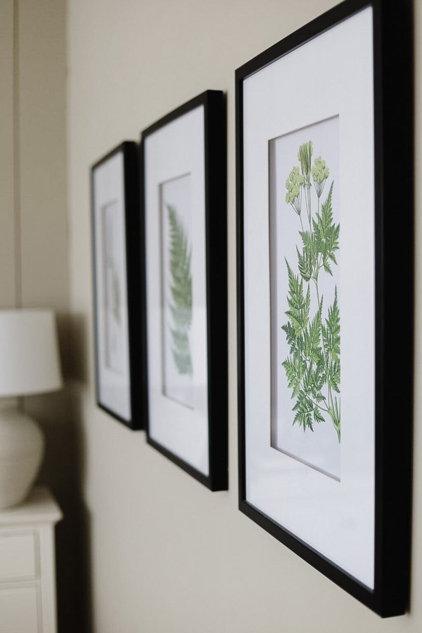 Fern Pictures | Set of Four