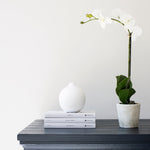 faux orchid