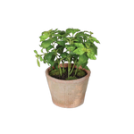 faux basil plant in pot