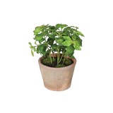 faux basil plant in pot