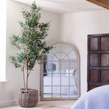 Ronda Olive Tree