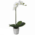 A stunning Lifelike single faux white orchid, planted in a stone pot