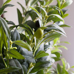 Close up showing very lifelike leaves and olives