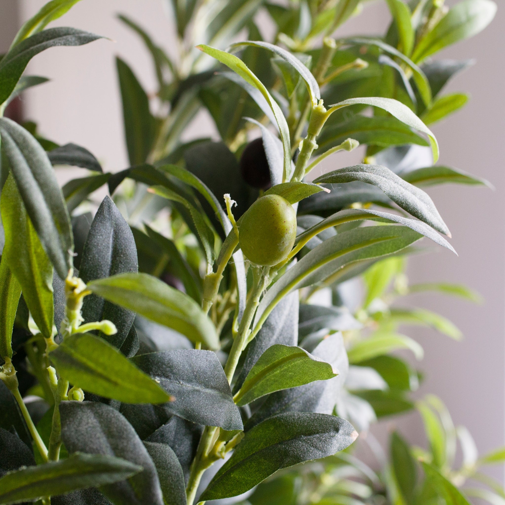 Close up showing very lifelike leaves and olives